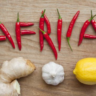 Otroci, bi odšli v Afriko?