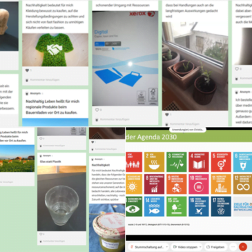 Develop Capacities Together